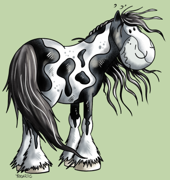 T-shirt personnalisé Poney