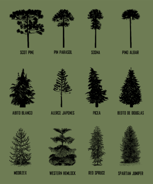 Motif Arbre Majestueux de la Forêt personnalisé sur vêtement