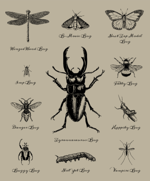 Body Bébé personnalisé Dessin entomologie