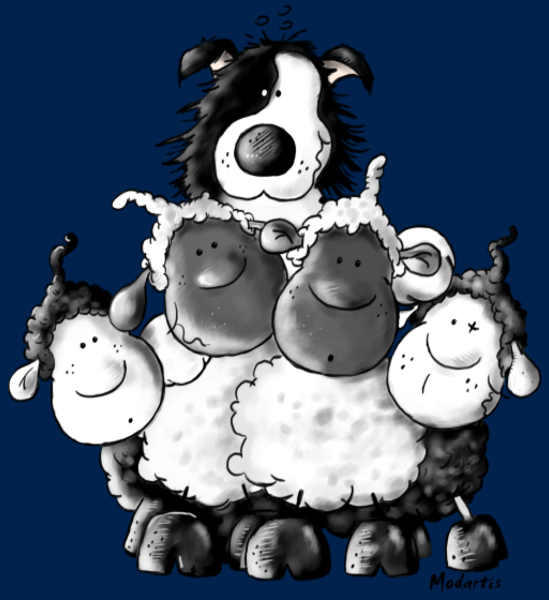 T-shirt personnalisé Border collie