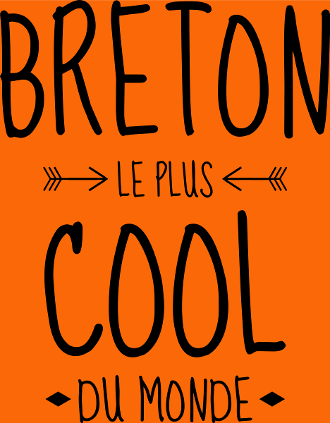 T-shirt personnalisé Breton fierte humour cool