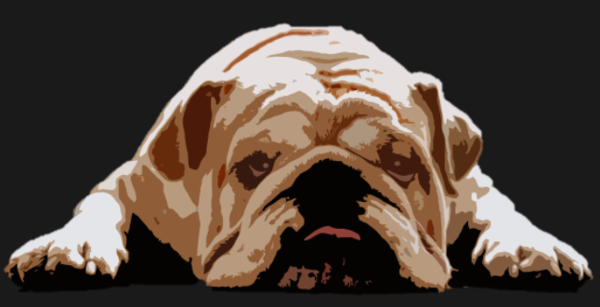 Body Bébé personnalisé Bulldog