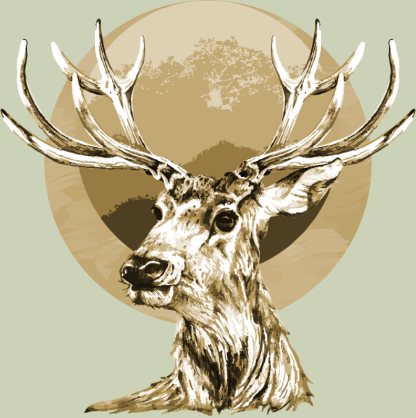 T-shirt personnalisé Faune sauvage cerf