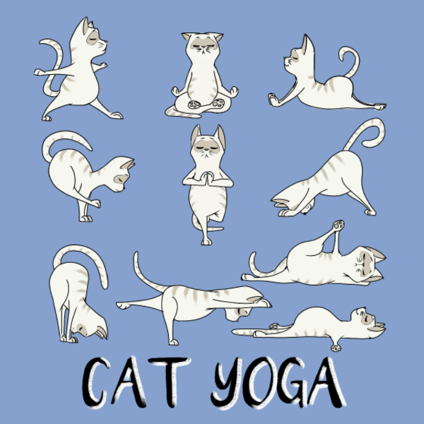 T-shirt personnalisé Chat yoga