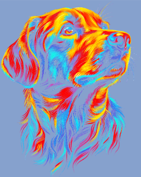 T-shirt personnalisé Chien coloré