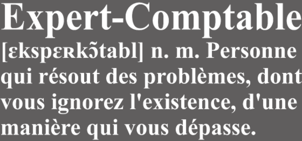 Maquette de Définition de l'Expert-Comptable | T-Shirt Humour Métier à personnaliser