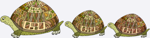Motif Design Tortue Aquatique personnalisé sur vêtement
