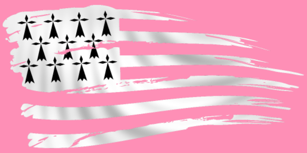 T-shirt personnalisé Drapeau breton