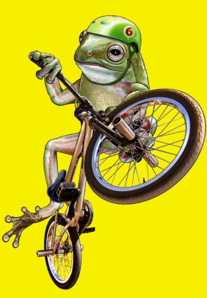 Maquette de Grenouille BMX : Le Rider des Marais à personnaliser