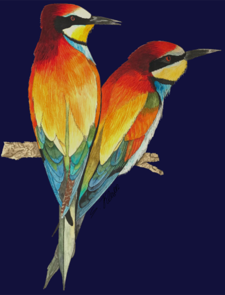 T-shirt personnalisé Oiseaux tropicaux
