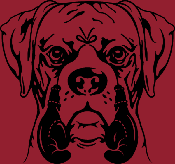 T-shirt personnalisé Boxer