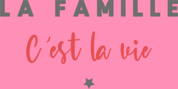 T-shirt personnalisé Vie pro
