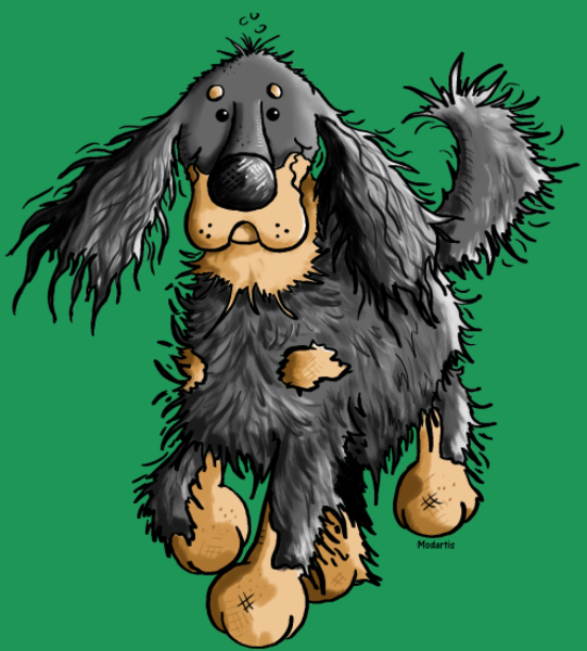 T-shirt personnalisé Gordon Setter