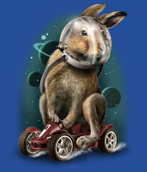 Maquette de Lapin Racer Spatial à personnaliser