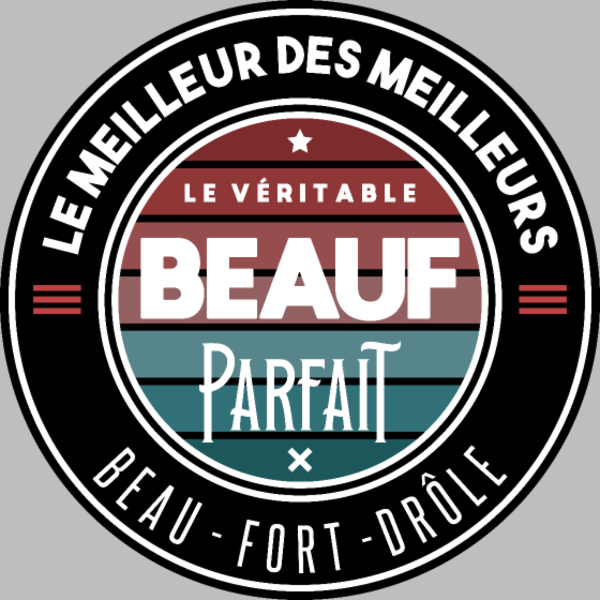 T-shirt personnalisé Homme parfait