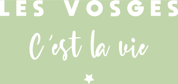 T-shirt personnalisé Vosges montagne humour