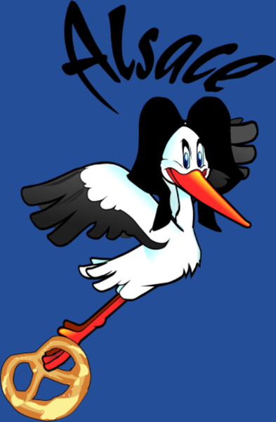 T-shirt personnalisé Cigogne alsace