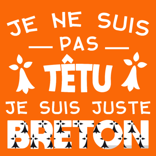 T-shirt personnalisé Symbole breton breizh bretagne