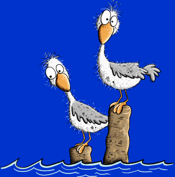 T-shirt personnalisé Mouette