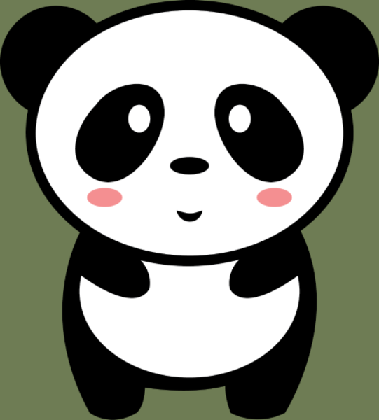 T-shirt personnalisé Animal kawaii