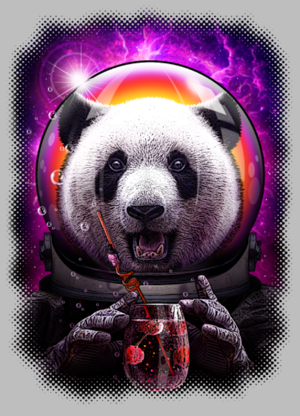 Maquette de Pandanaut : L'Aventure Spatiale du Panda à personnaliser