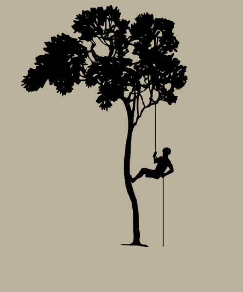 Passion Grimpeur d'Arbre & Abseil