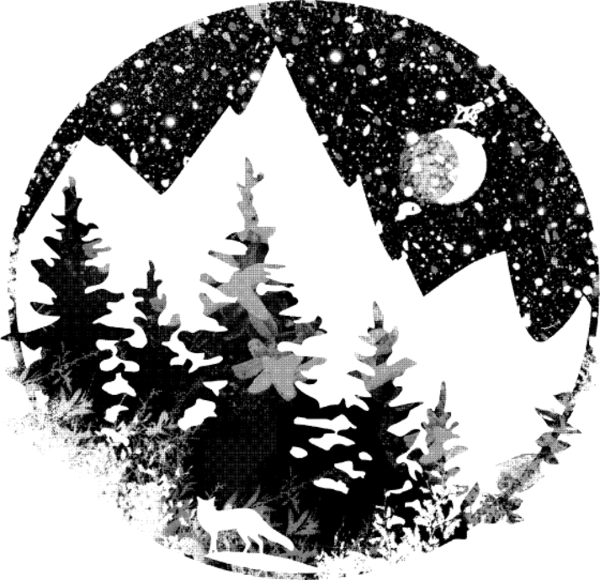 T-shirt personnalisé Nuit paysage