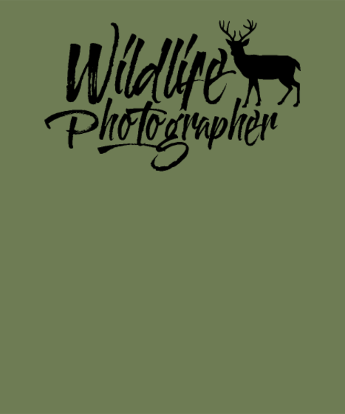 Maquette de Photographe Animalier à personnaliser