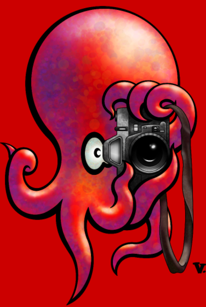 Poulparazzi - Le paparazzi des fonds marins