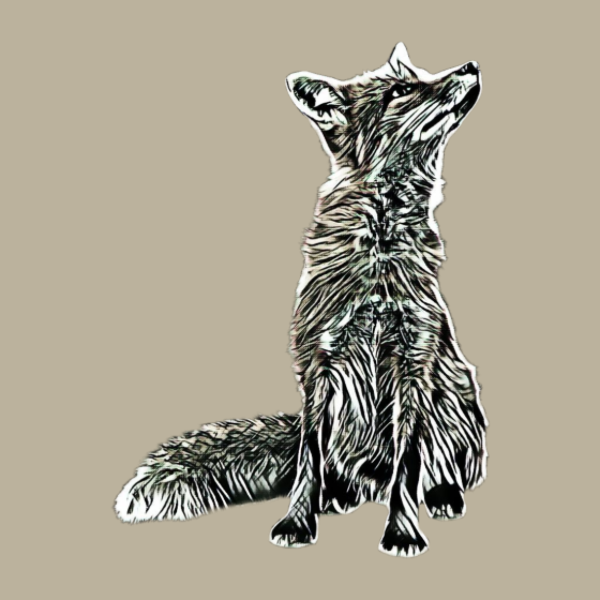 T-shirt personnalisé Dessin réaliste