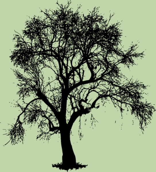 Motif Sauvez les Arbres - Amoureux de la Forêt personnalisé sur vêtement