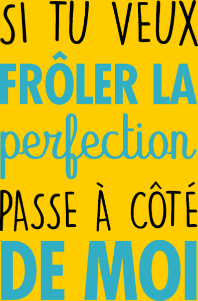 T-shirt personnalisé Perfection humour
