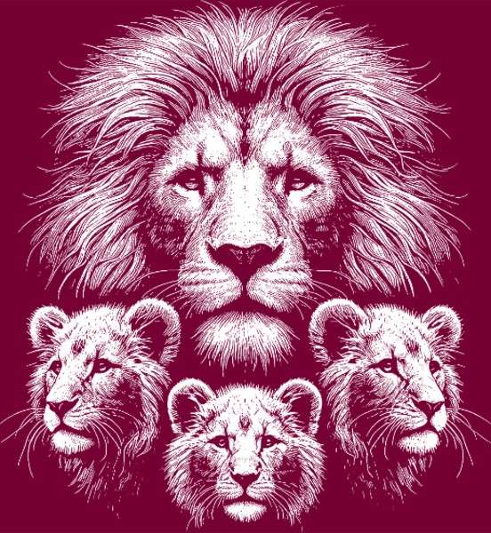 T-shirt personnalisé Lion stylisé