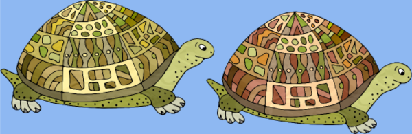 Motif Tortue Élégante personnalisé sur vêtement