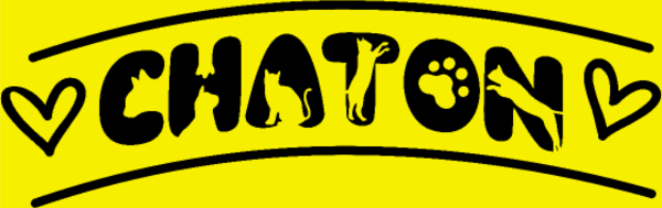 T-shirt personnalisé Typographie animale