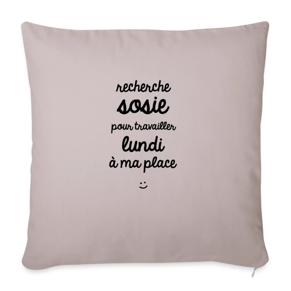 Alerte Sosie : Appel à Témoins sur Housse de coussin décorative 45 x 45 cm