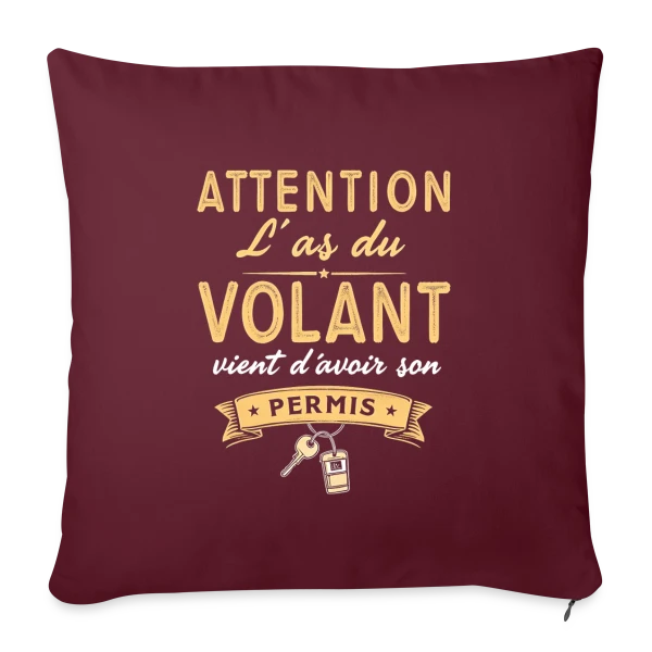 Cadeau Jeune Conducteur - Humour Permis sur Housse de coussin décorative 45 x 45 cm
