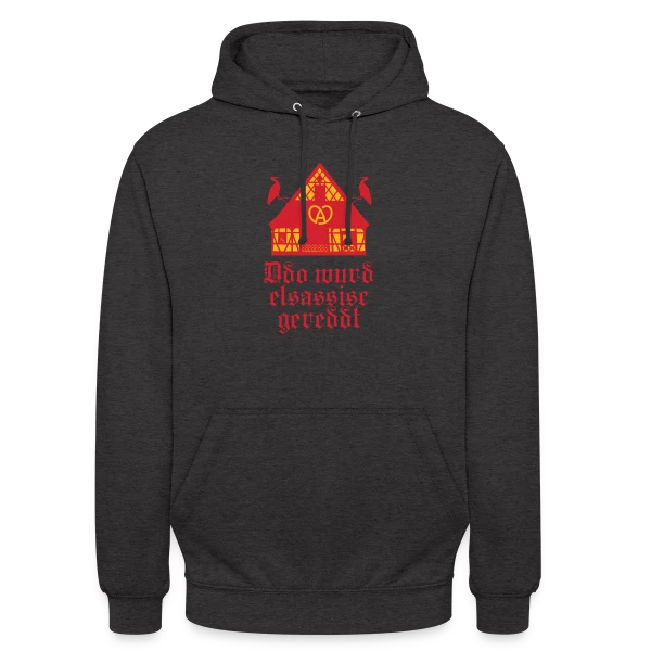 Ici On Parle Alsacien sur Sweat-shirt à capuche unisexe