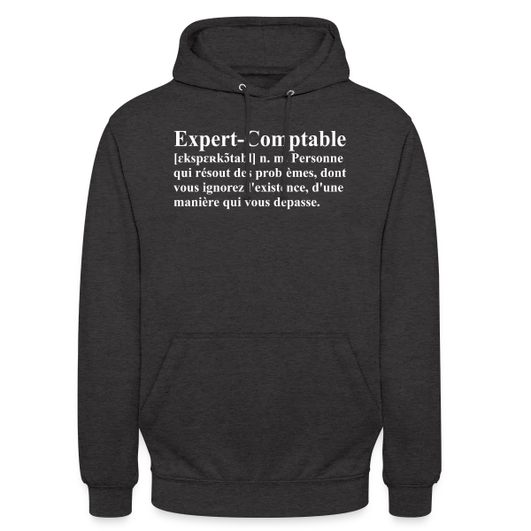 Définition de l'Expert-Comptable | T-Shirt Humour Métier sur Sweat-shirt à capuche unisexe