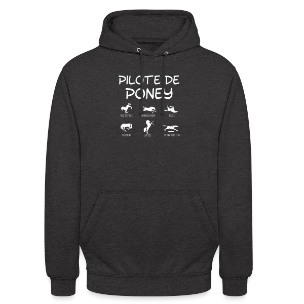 Pilote de Poney Stylisé sur Sweat-shirt à capuche unisexe
