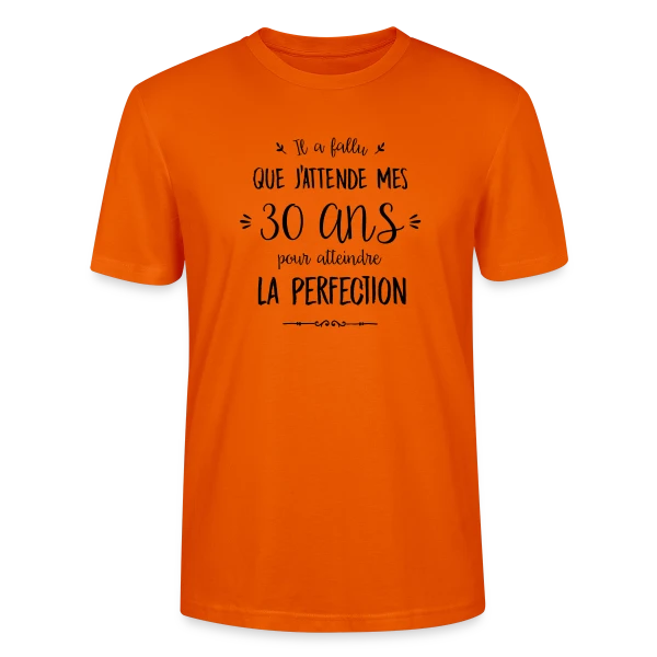 Maquette de T-shirt bio CRAFTER Stanley Stella Unisexe « 30 Ans : La Perfection Atteinte ! » à personnaliser
