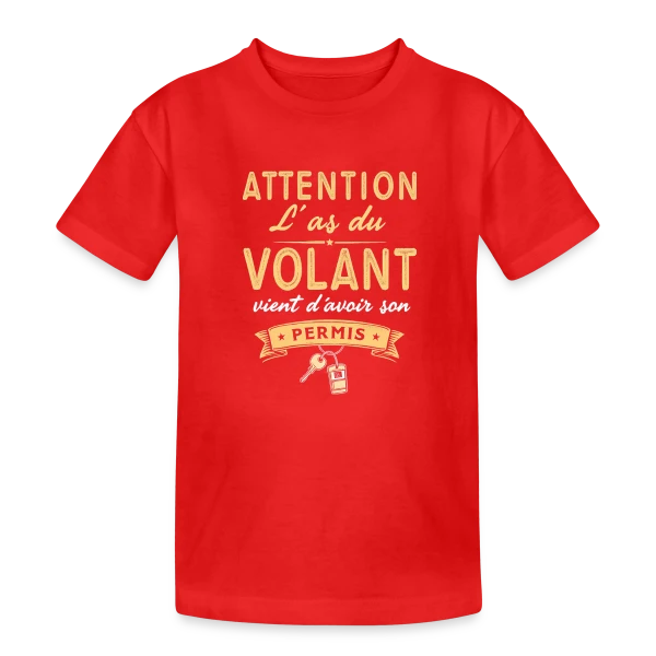 Cadeau Jeune Conducteur - Humour Permis sur T-shirt coton épais ado