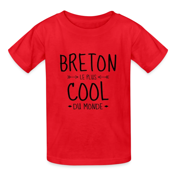 Breton le Plus Cool du Monde sur T-shirts Russell Enfant