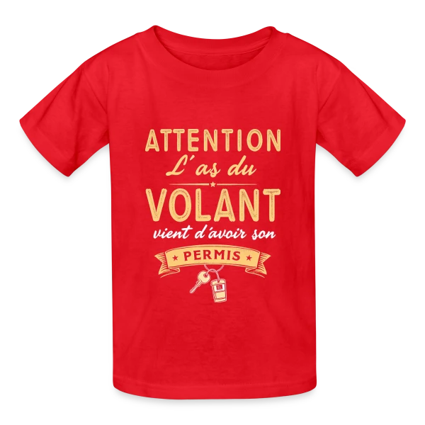 Cadeau Jeune Conducteur - Humour Permis sur T-shirts Russell Enfant